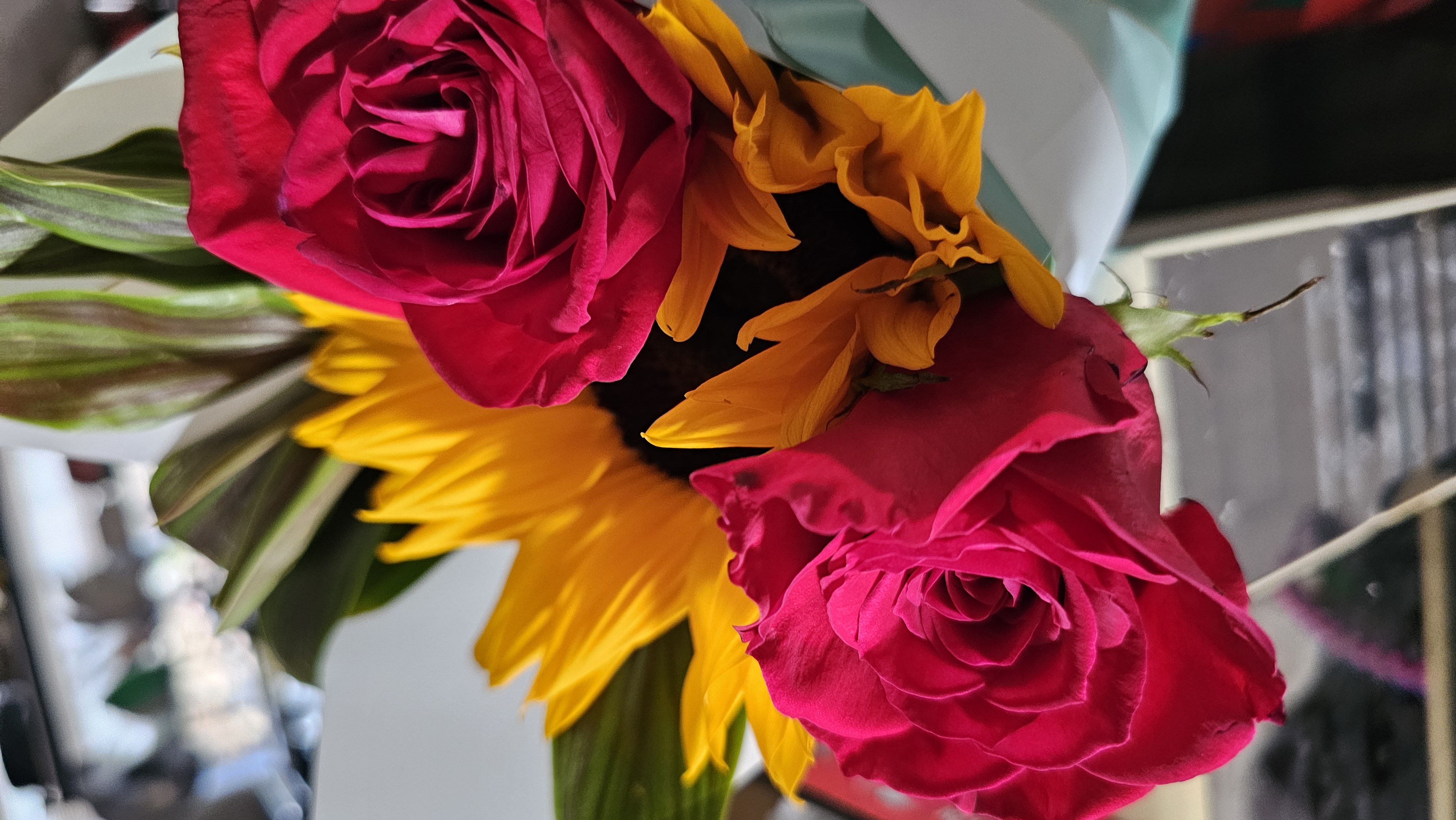 Karen U. — UGC creator profile photo
