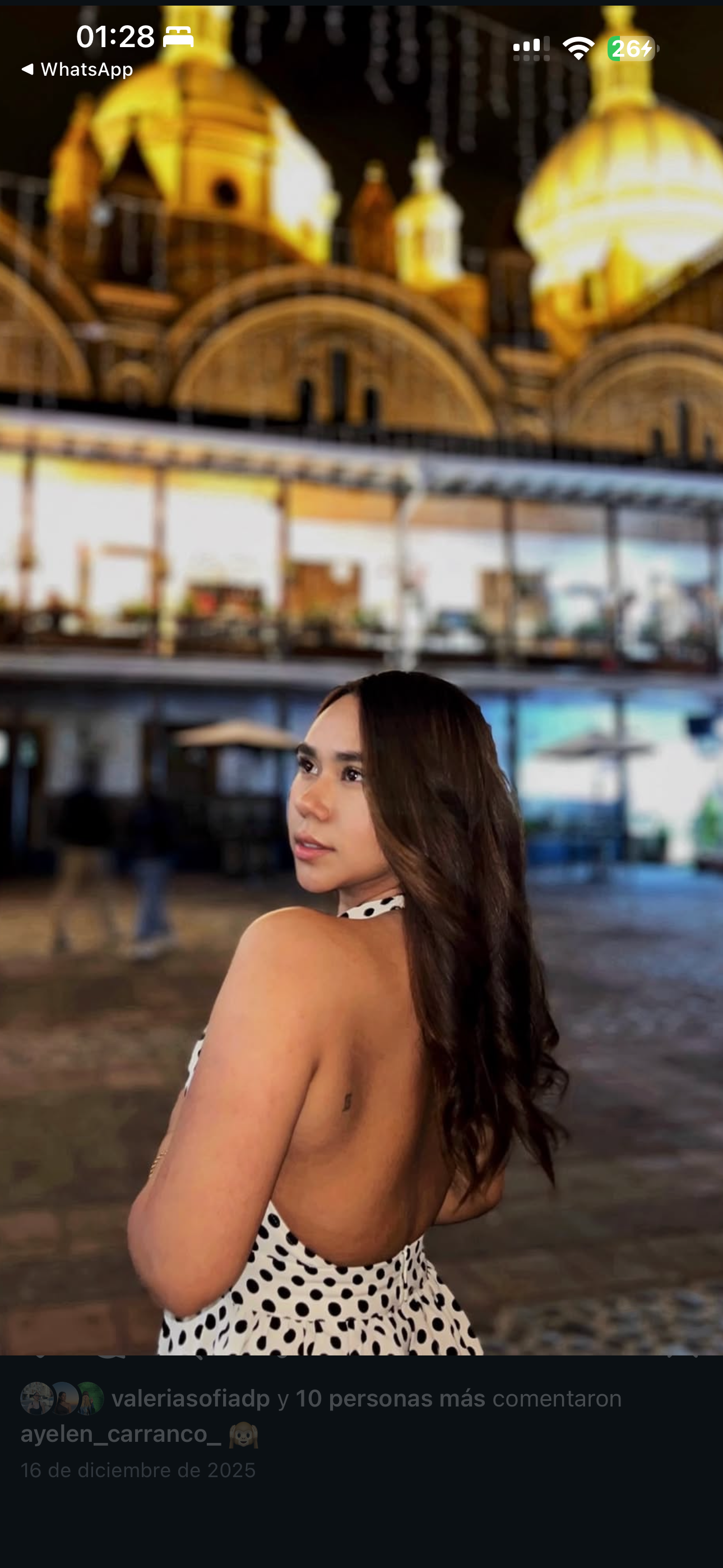 Ayelen C. portfolio 3