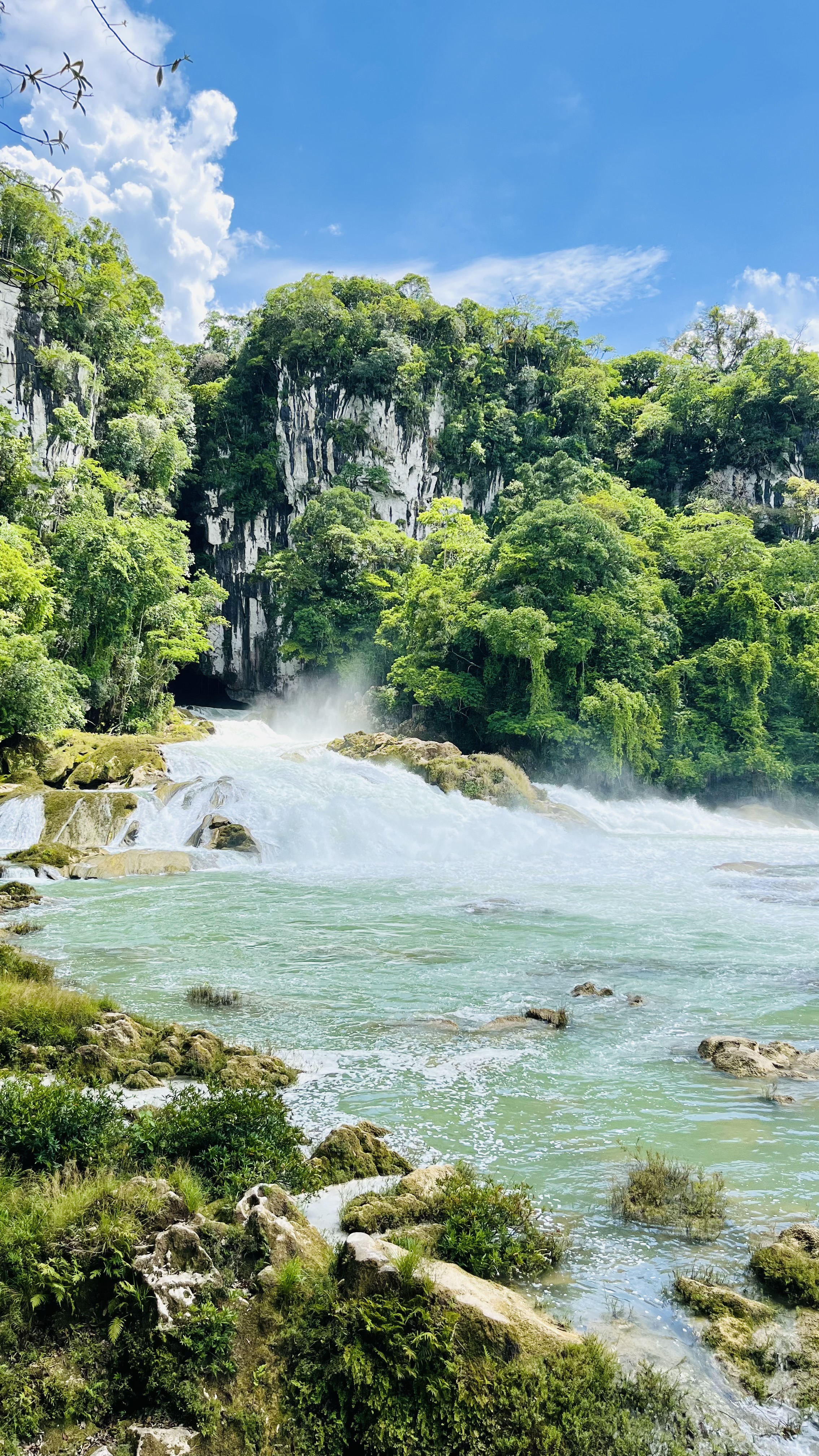 Fernanda G. — UGC Creator in Mexico — Lifestyle content — photo 1